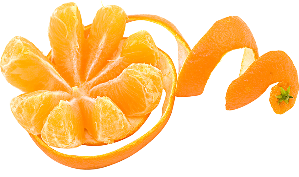 Naranjas Campal
